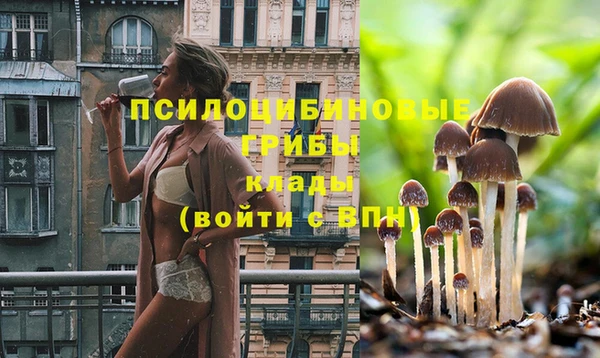 хмурый Белоозёрский