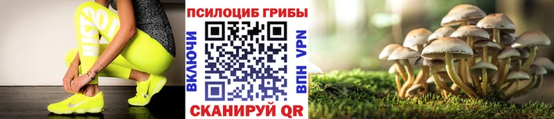 MEGA вход  Валуйки  Псилоцибиновые грибы Magic Shrooms  нарко площадка какой сайт  купить  сайты 